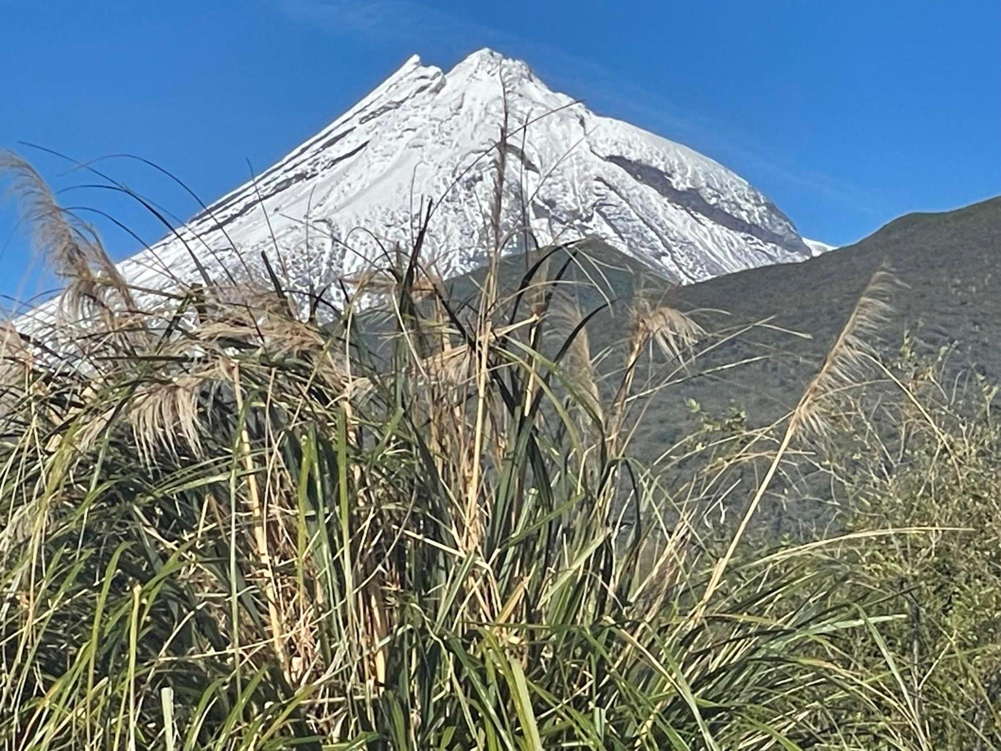 Mangorei Heights - New Plymouth Bed and Breakfast Εξωτερικό φωτογραφία